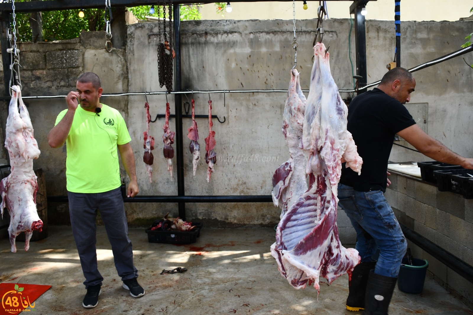 WhatsApp Image 2020-05-17 at 11.39.13 PM.jpeg.jpg.jpg